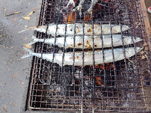 【西入間地区】鶴ヶ島市不動産フェア開催のご報告